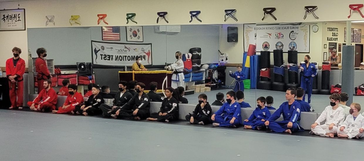 World Black Belt Center Olympic & Traditional Taekwondo