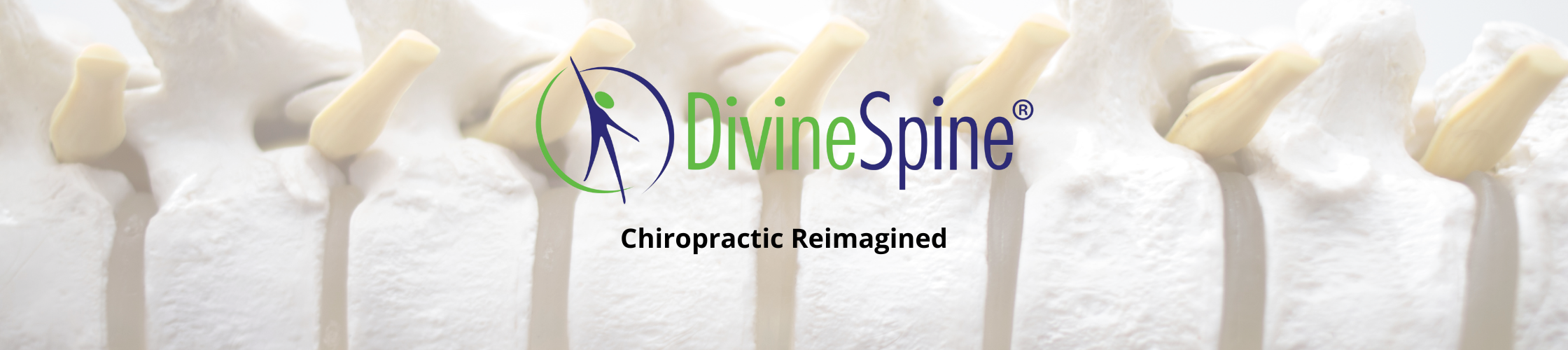Divine spine chiropractic reimagined image with spine 