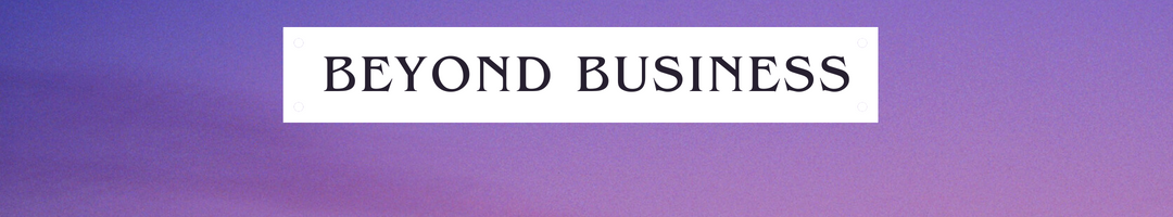 Beyond Business Systems
