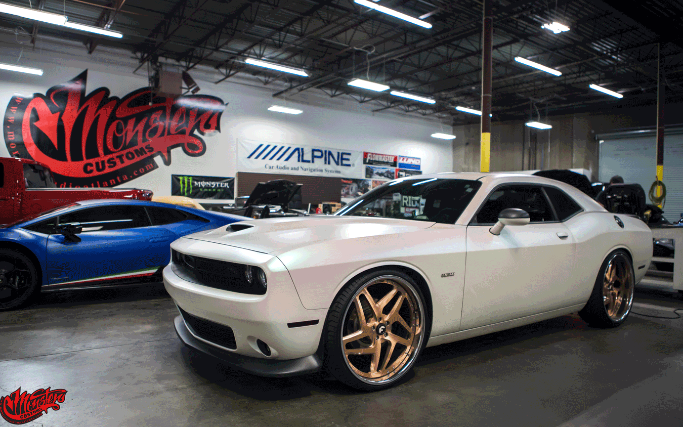 Vehicle Wrap