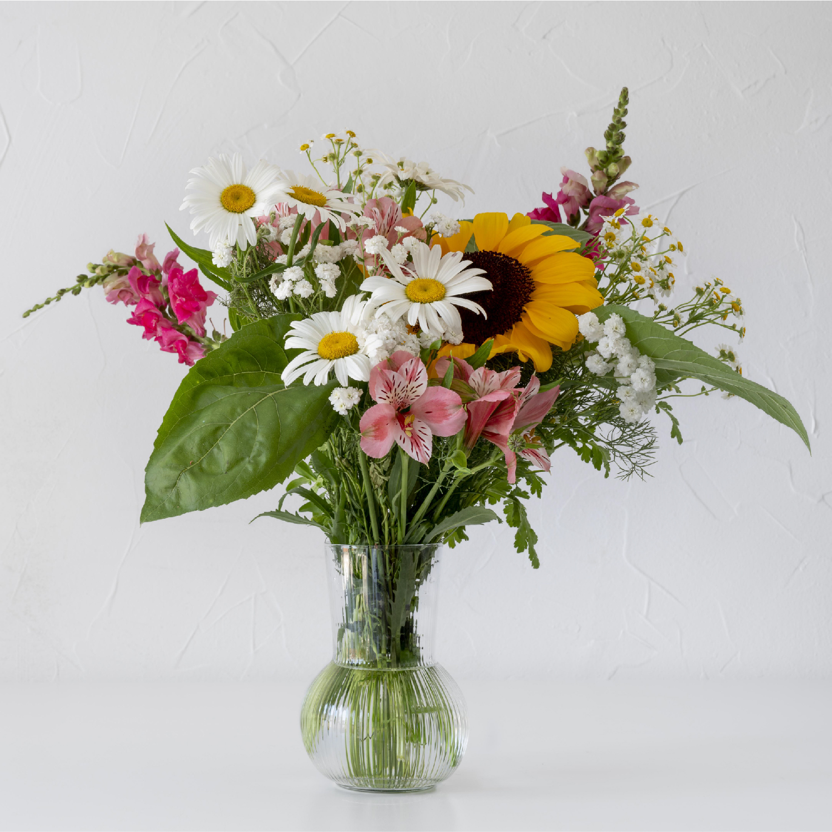 Rosa's Wholesale Flowers Open To The Public