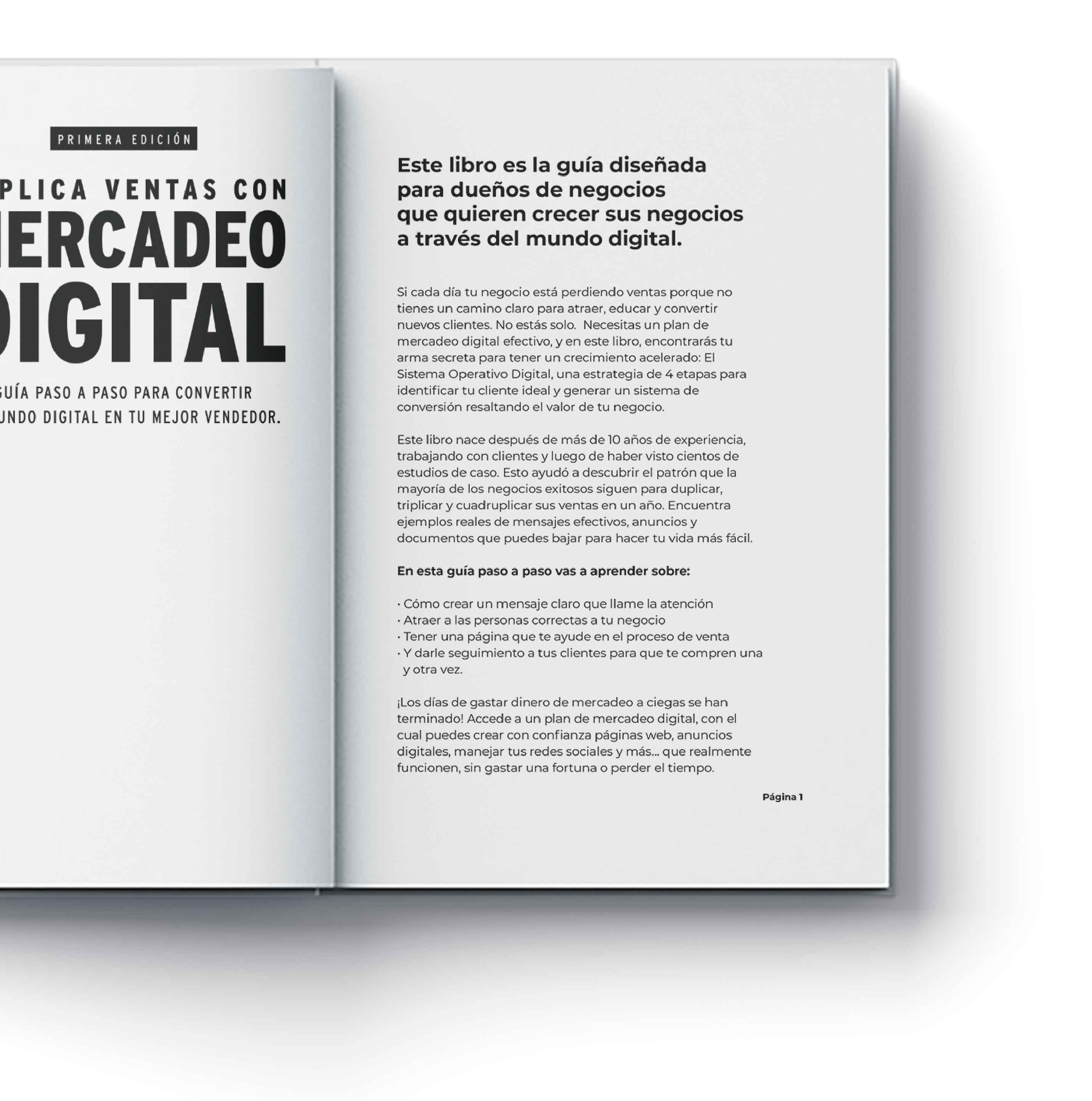Libro Duplica Ventas con Mercadeo Digital