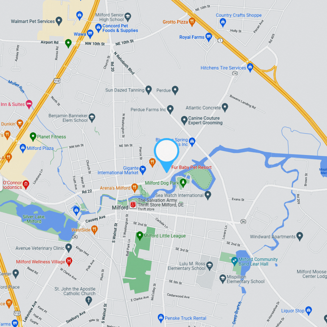 301 ne front st milford de 19963