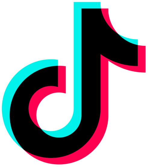 TikTok Icon