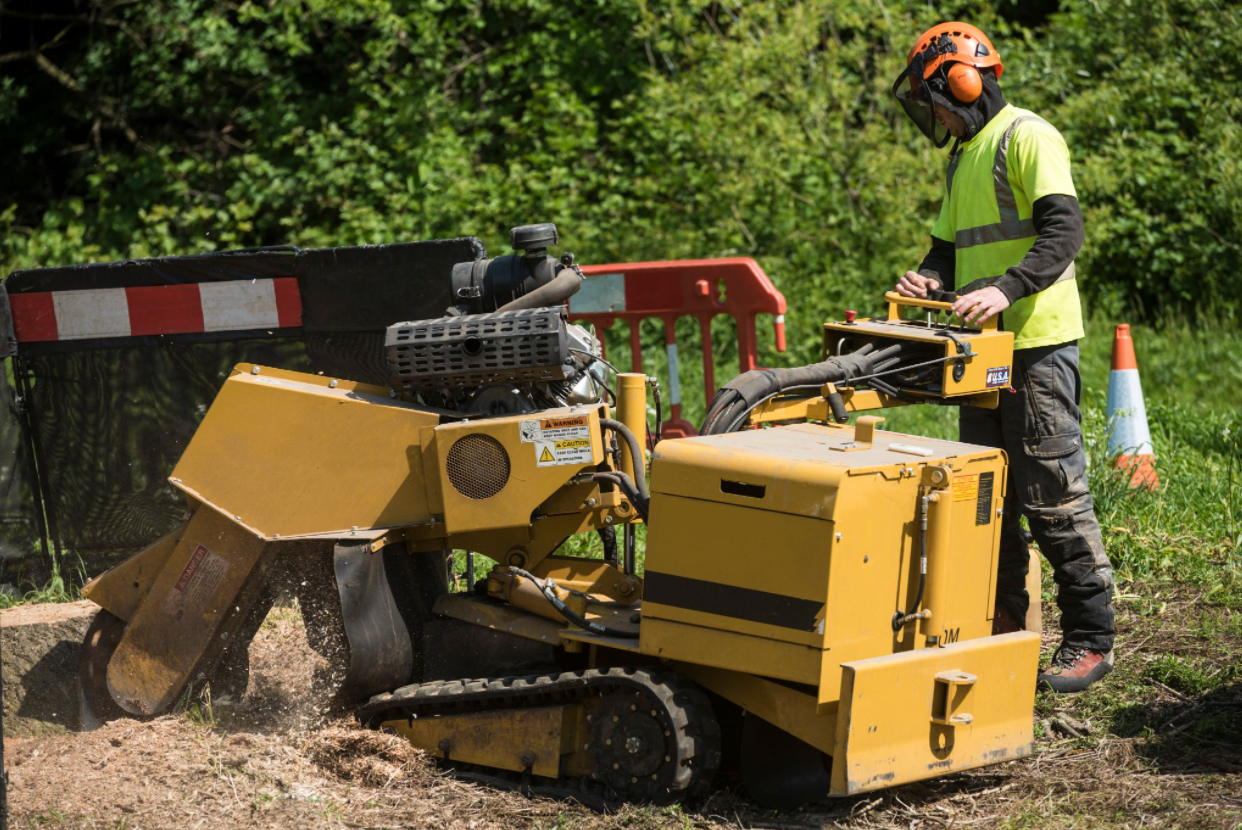 a yellow stump grinding machine being operated by one of the New Leaf Tree Surgeon team for a customer based in Canterbury.