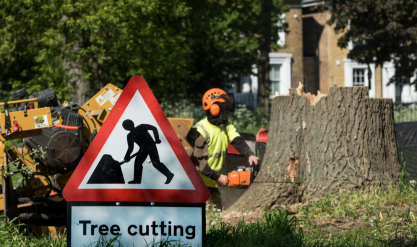 a red sign warning viewers of an emergency tree cutting job that is taking place on a green in Canterbury's town centre.