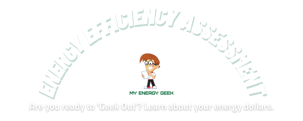 Energy Efficiency Assessment