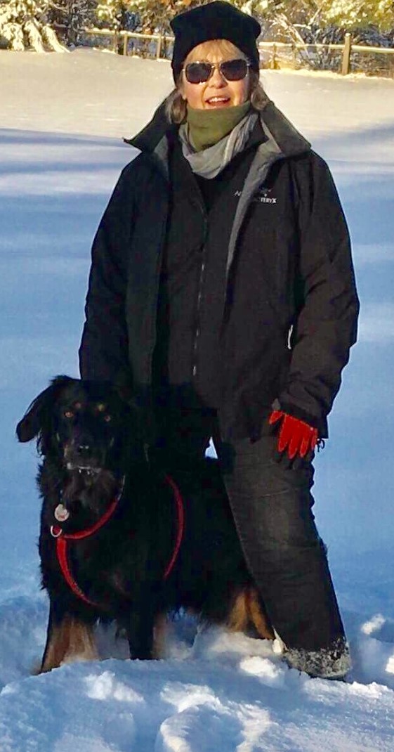 Dog Training Kelowna Leaps & Hounds Canine Training