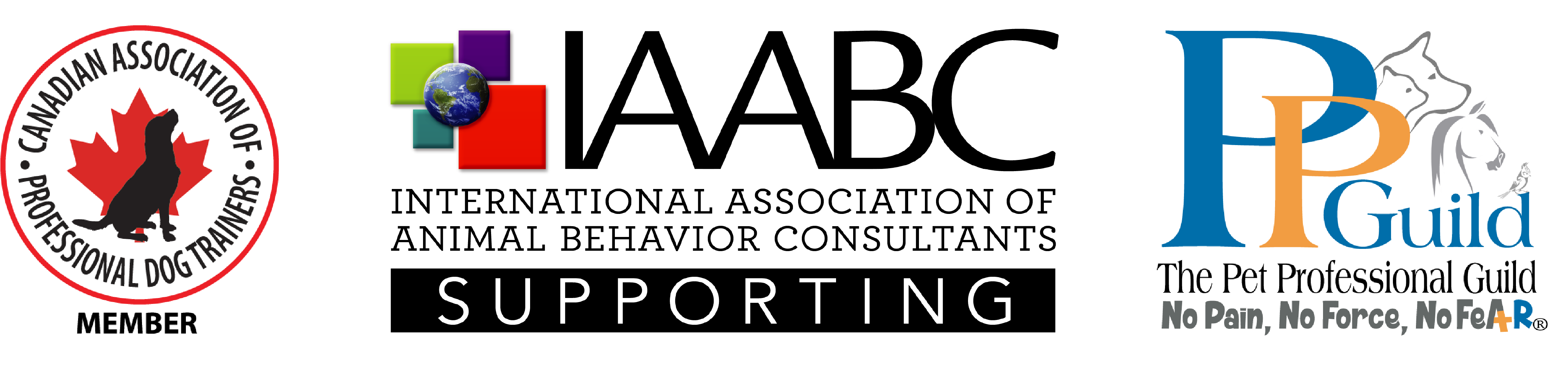 Dog Training Kelowna Leaps & Hounds Canine Training