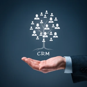 Customer CRM Tree
