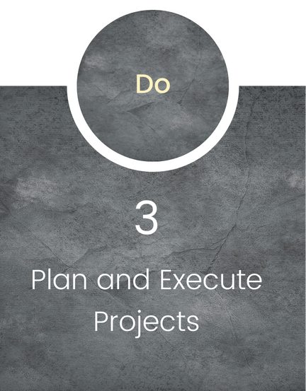 plan and execute projects