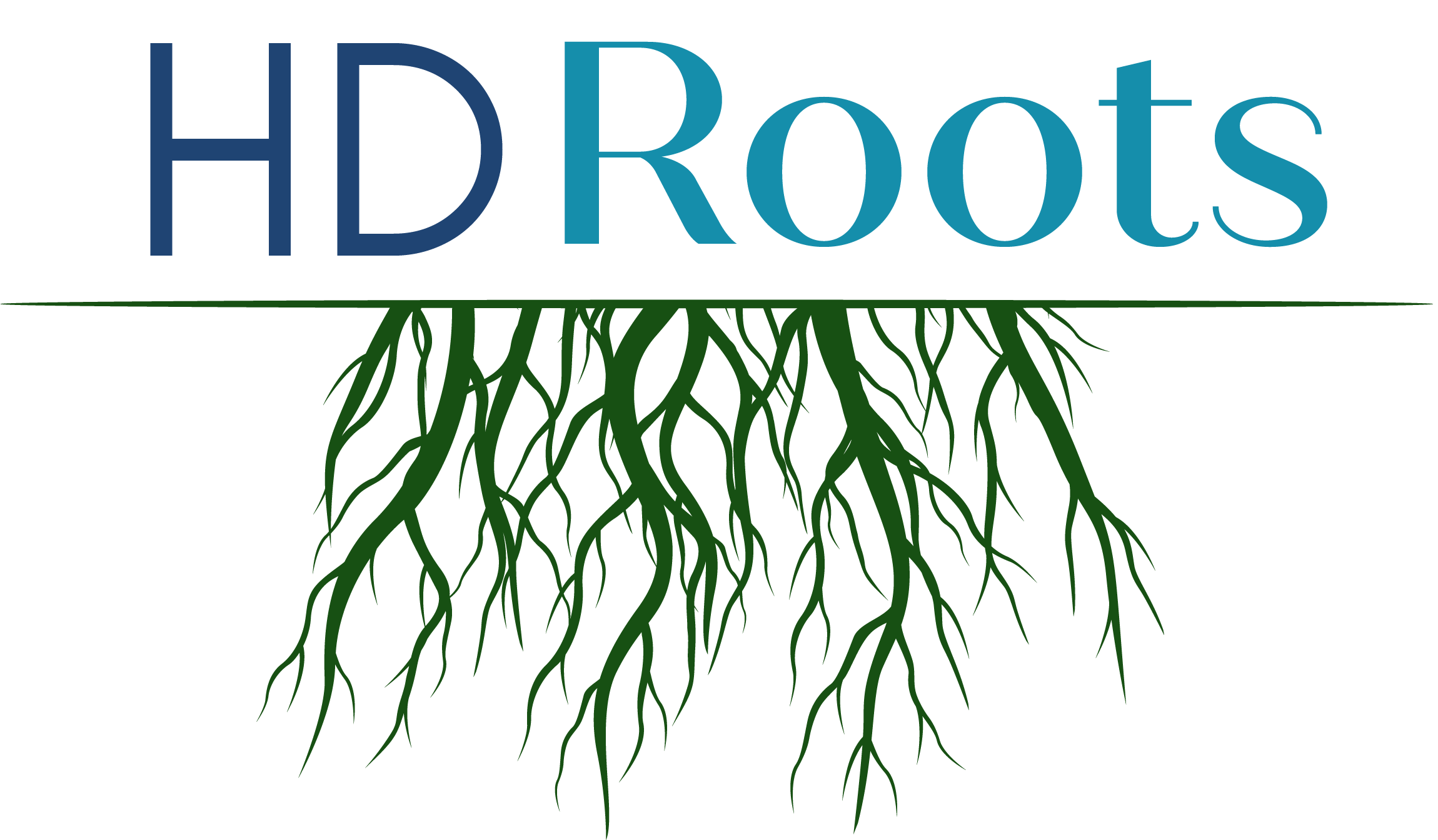 HD Roots - Let's plants some roots in your business.