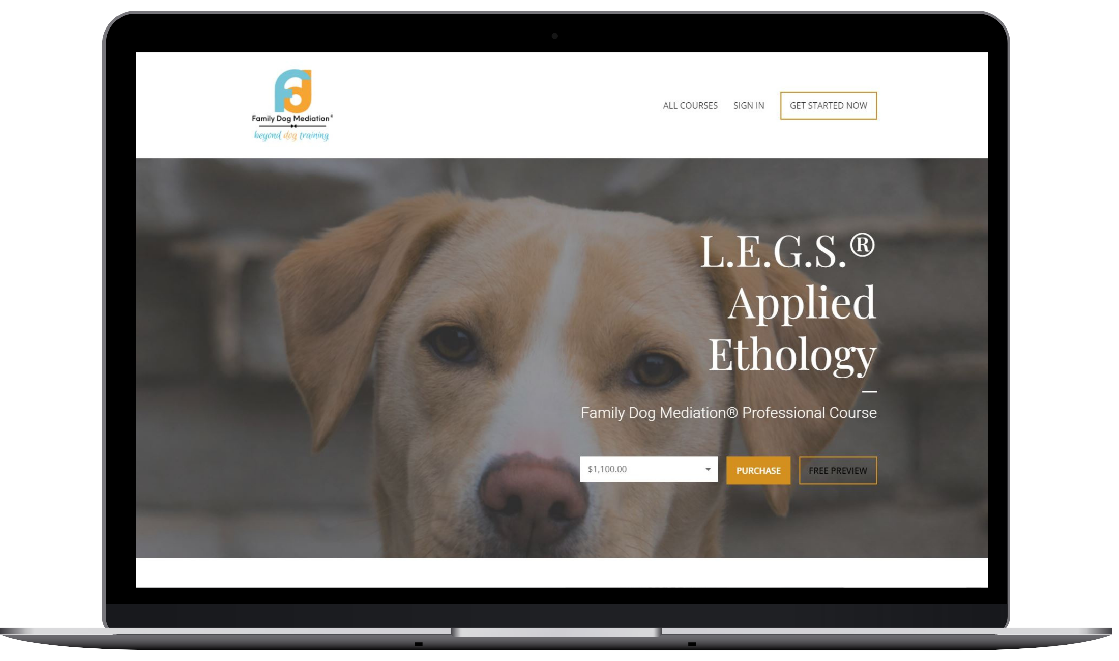 claire lindsey learning client website Canine Ethology