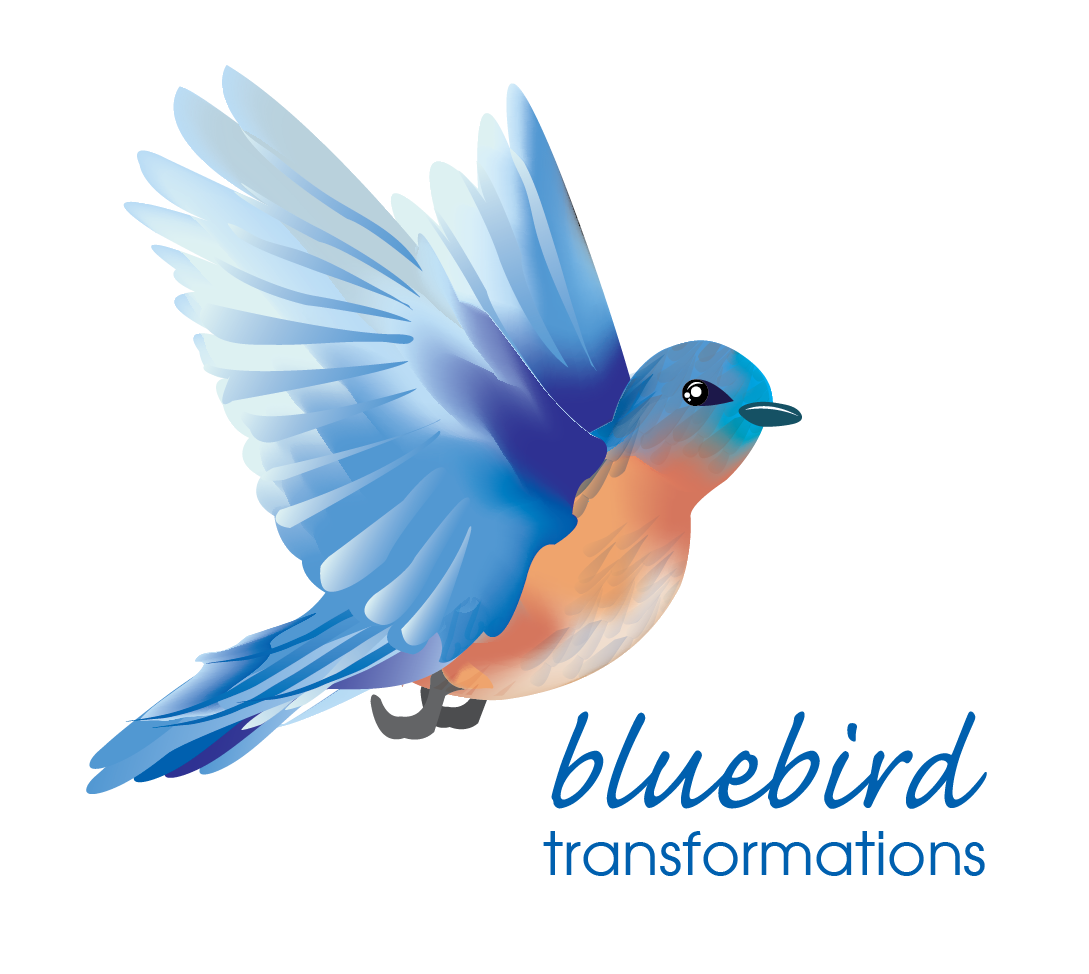 bluebird-transformations