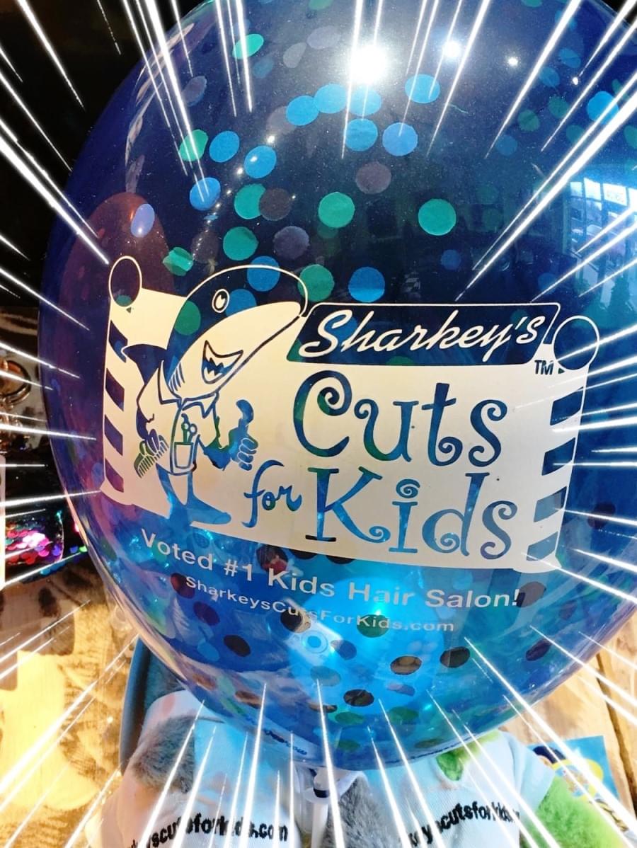 Sharkey's Cuts for Kids | Best Kids Hair Salon Near Me | Haircuts | Elkgrove