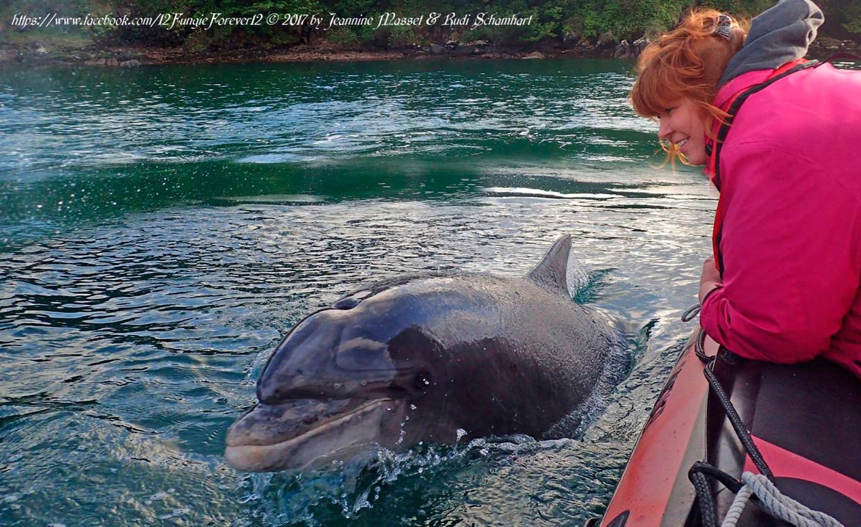Jeannine Masset and Fungie the dolphin in Dingle Bay
