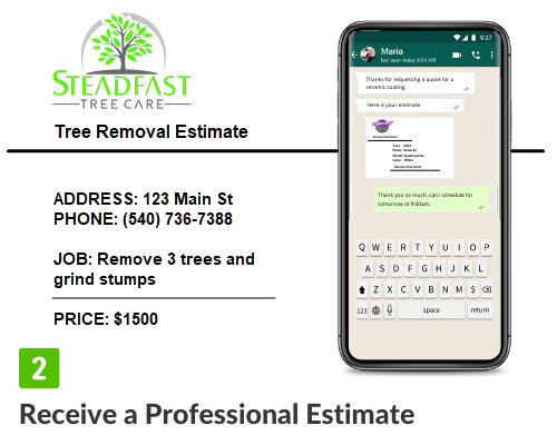 Tree Removal Service Quote