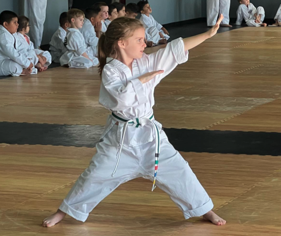 us-taekwondo-martial-arts-in-oswego-il