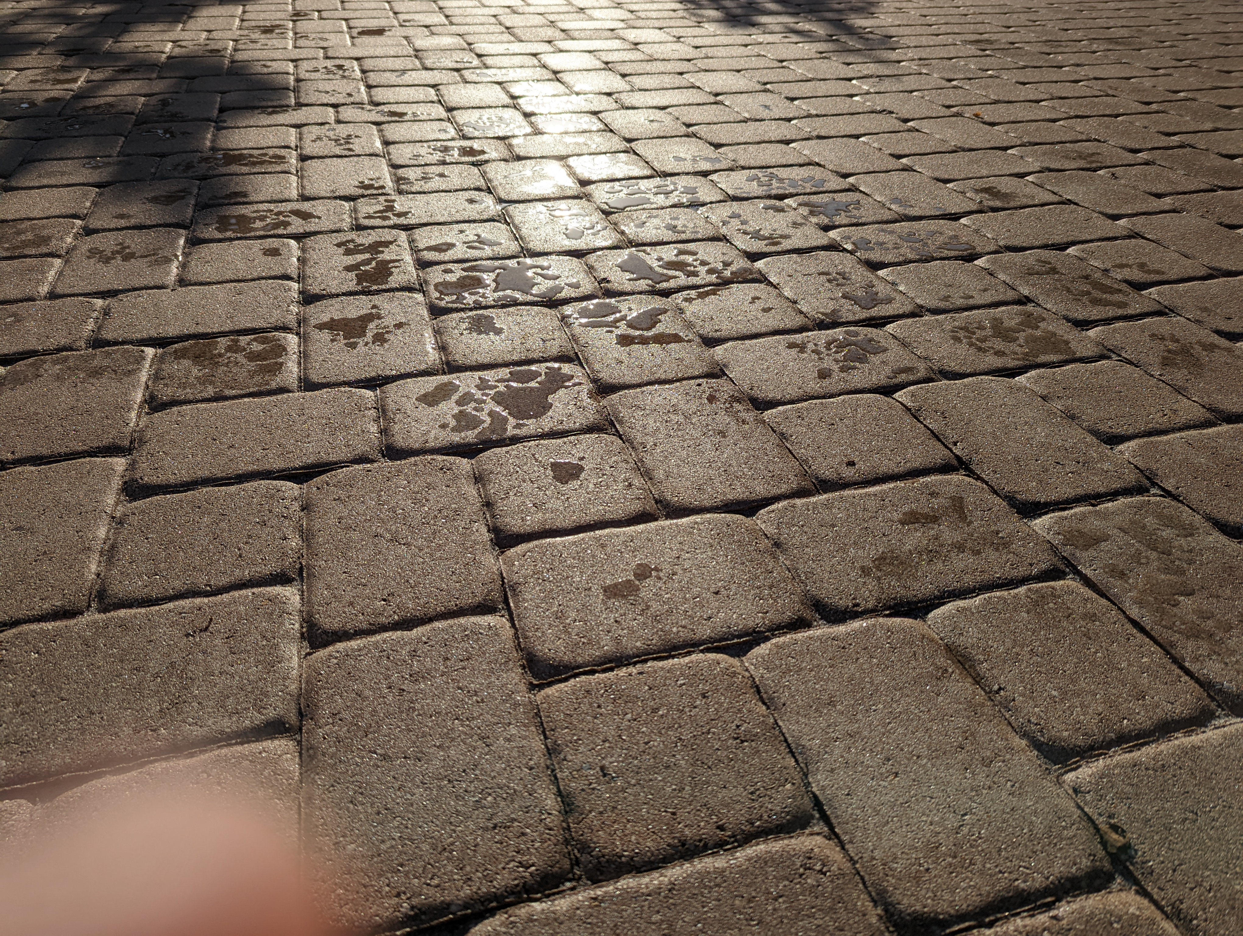 Brick pavers in the sun