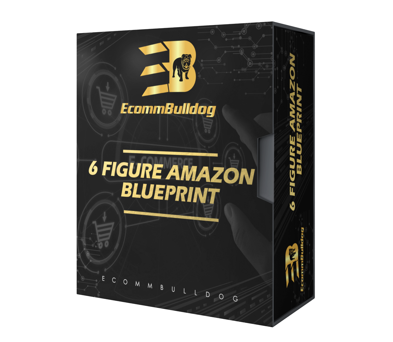 6 FIGURE AMAZON BLUEPRINT