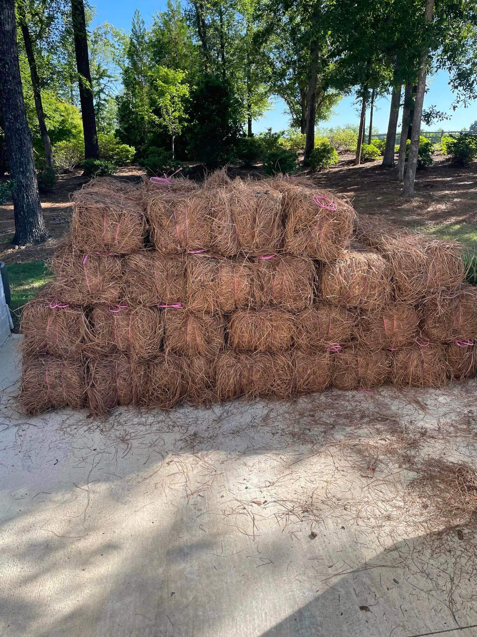River Region Straw Premium LongLeaf Pine Straw