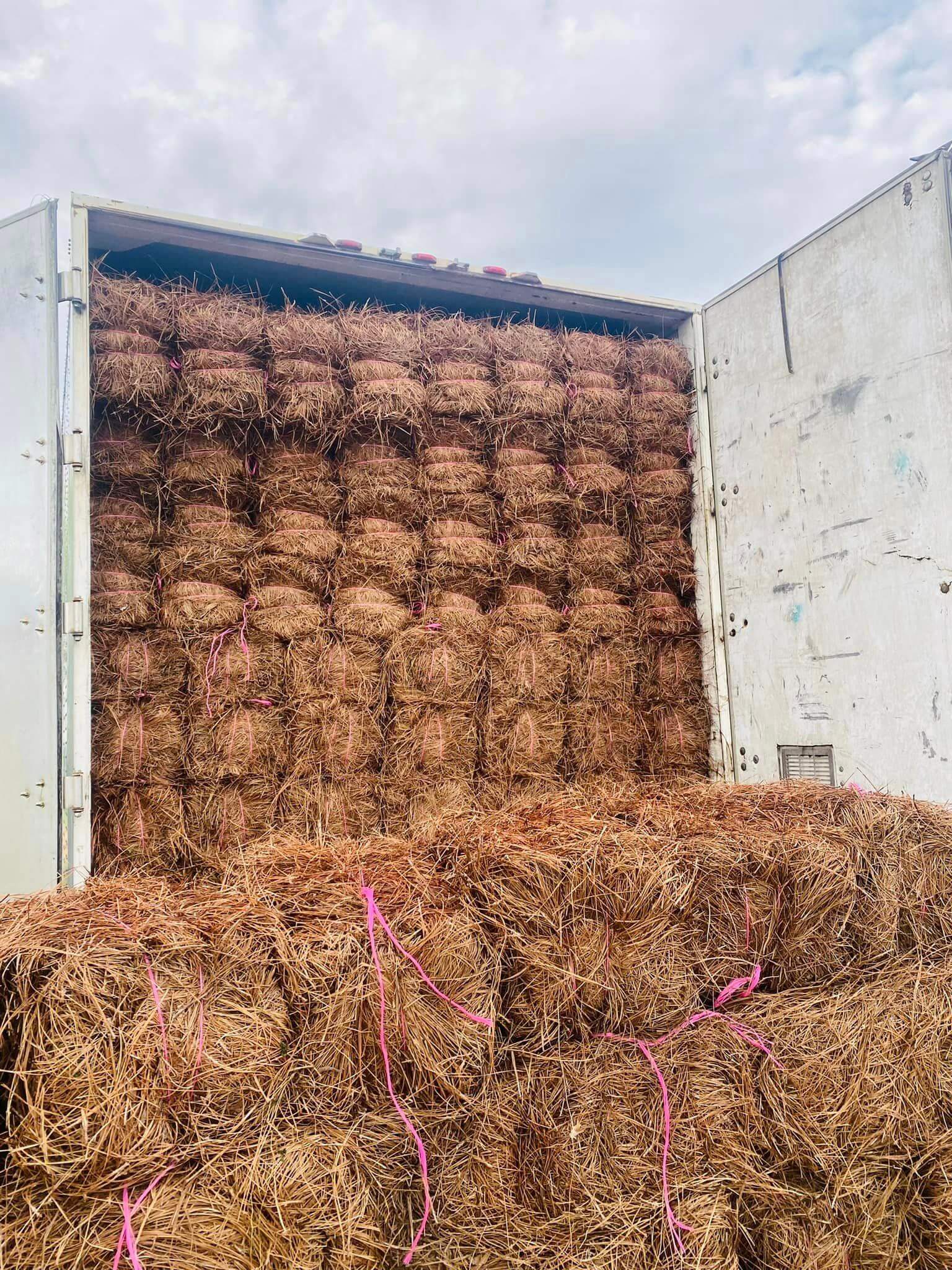 River Region Straw Wholesale