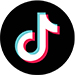 Tiktok, Judicious