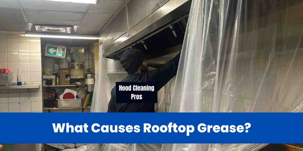 What Causes Rooftop Grease?