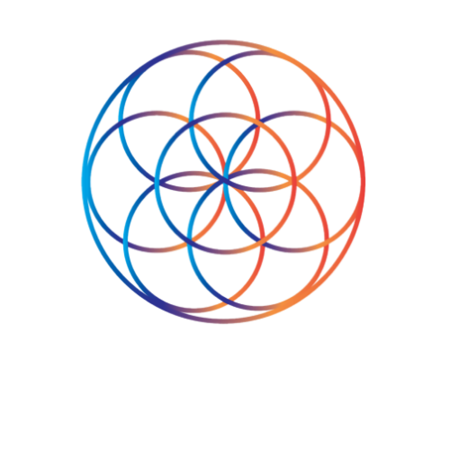 San Diego Concentric Fit | Mira Mesa | Sorrento Valley | Fitness and Jiu Jitsu