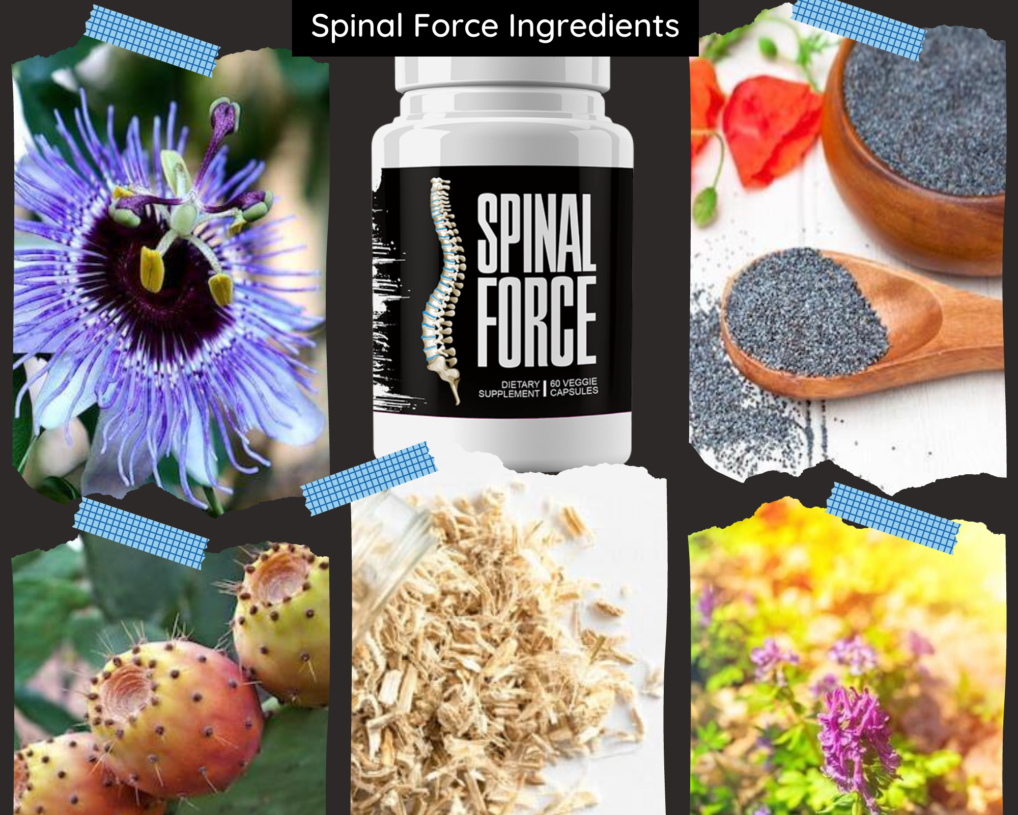 Spinal Force ingredients