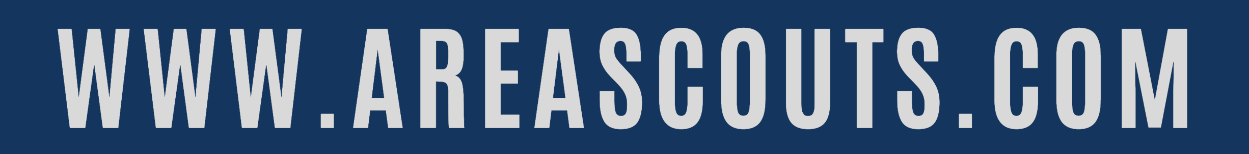 area-scouts-contact
