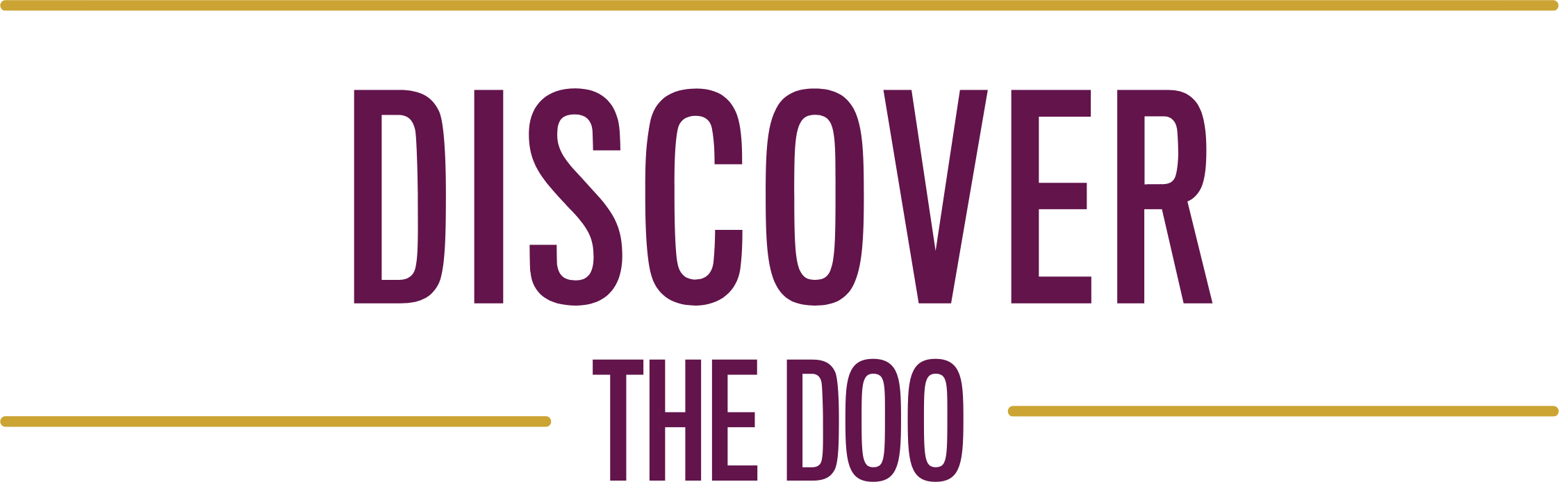 Discover the DOO Infosession