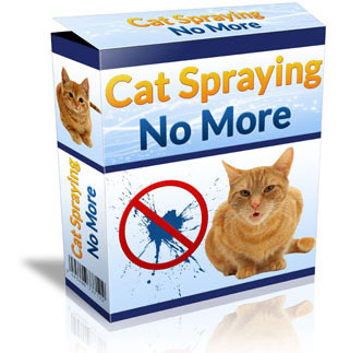 Cat Spraying No More | Do Female Cats Spray