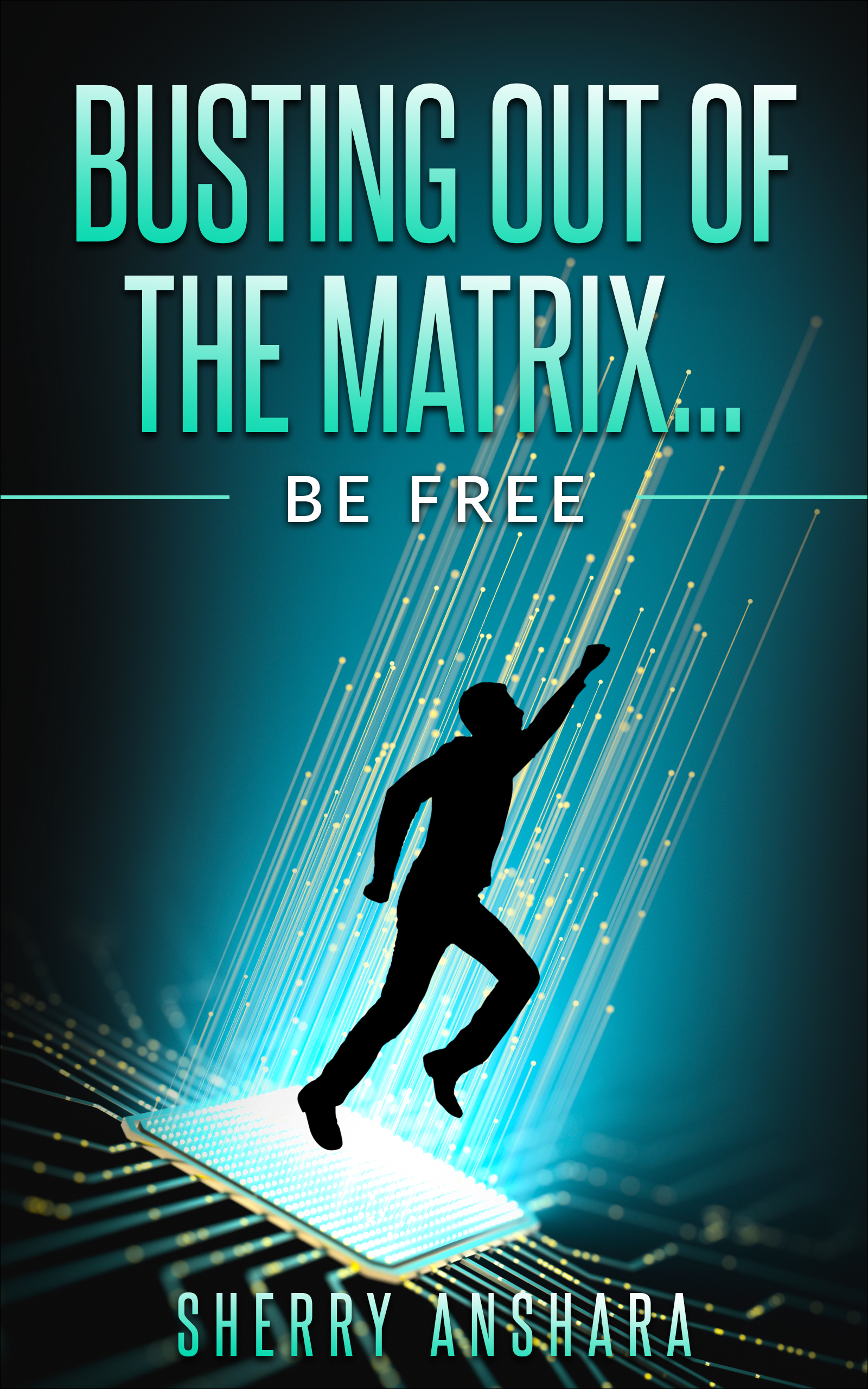 Busting Out of the Matrix by Sherry Anshara