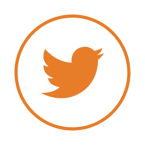 icone twitter orange