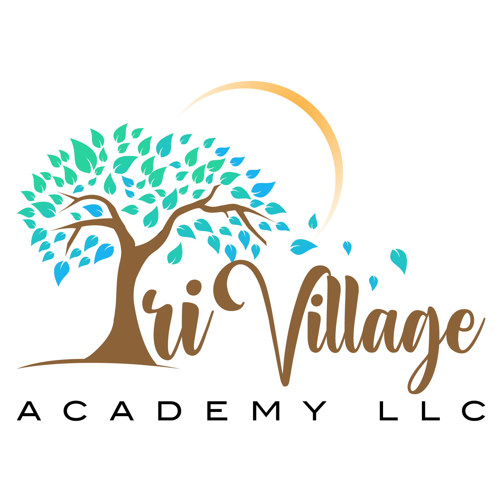 Tri Village Academy LLC